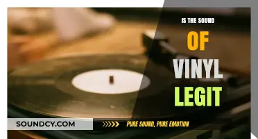 Legit Vinyl Sounds: Are They Worth the Hype?