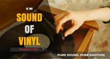 The Warmth of Vinyl: Exploring the Unique Sound of Records