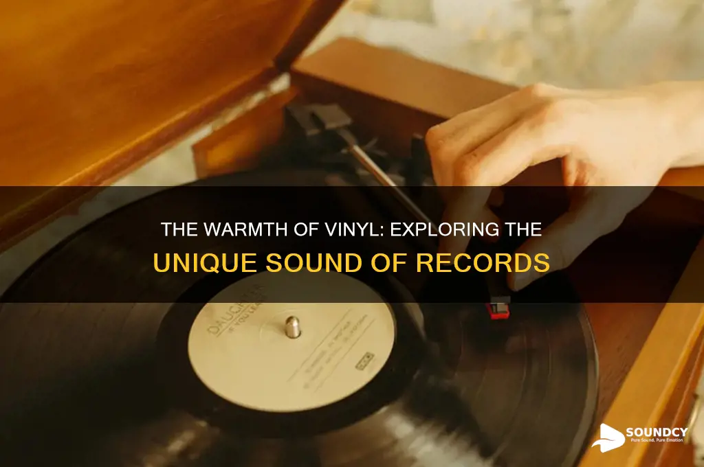 is the sound of vinyl