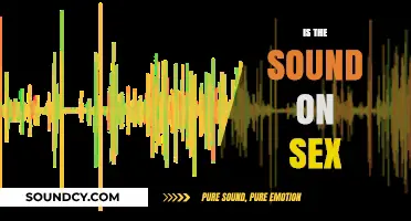 Exploring the Role of Sound in Sexual Experiences and Intimacy