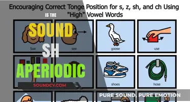 Is the Sound /sh/ Aperiodic? Exploring Phonetics and Acoustics