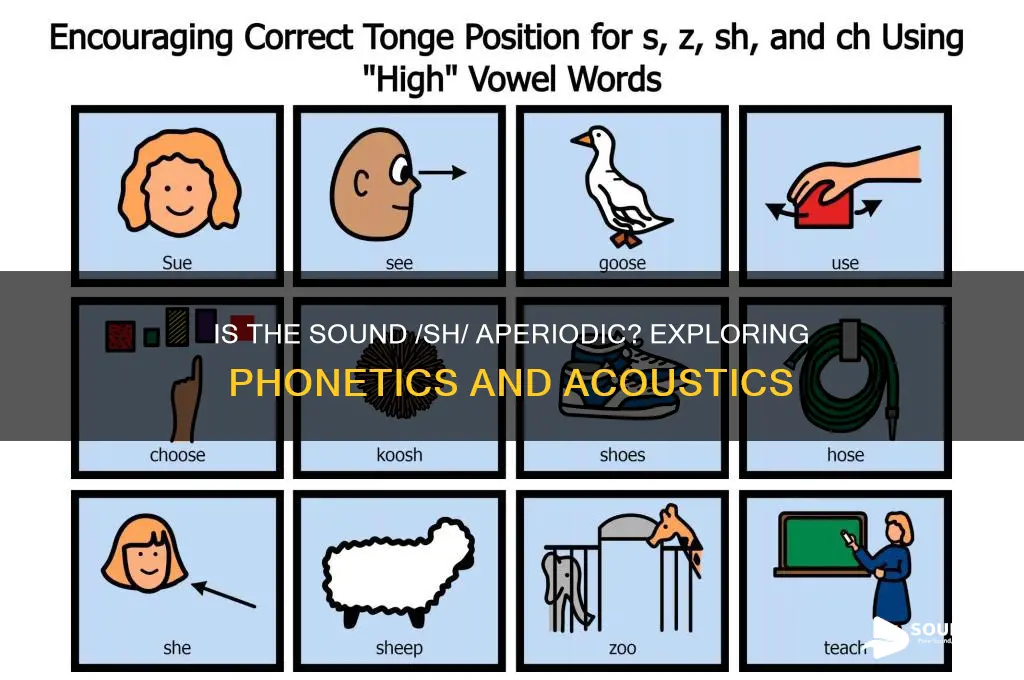 is the sound sh aperiodic