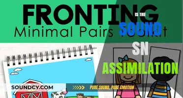Exploring the Phonetic Phenomenon: Is Sound Sn Assimilation Real?