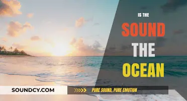 Is the Sound of the Ocean Nature's Melody or Mystery?
