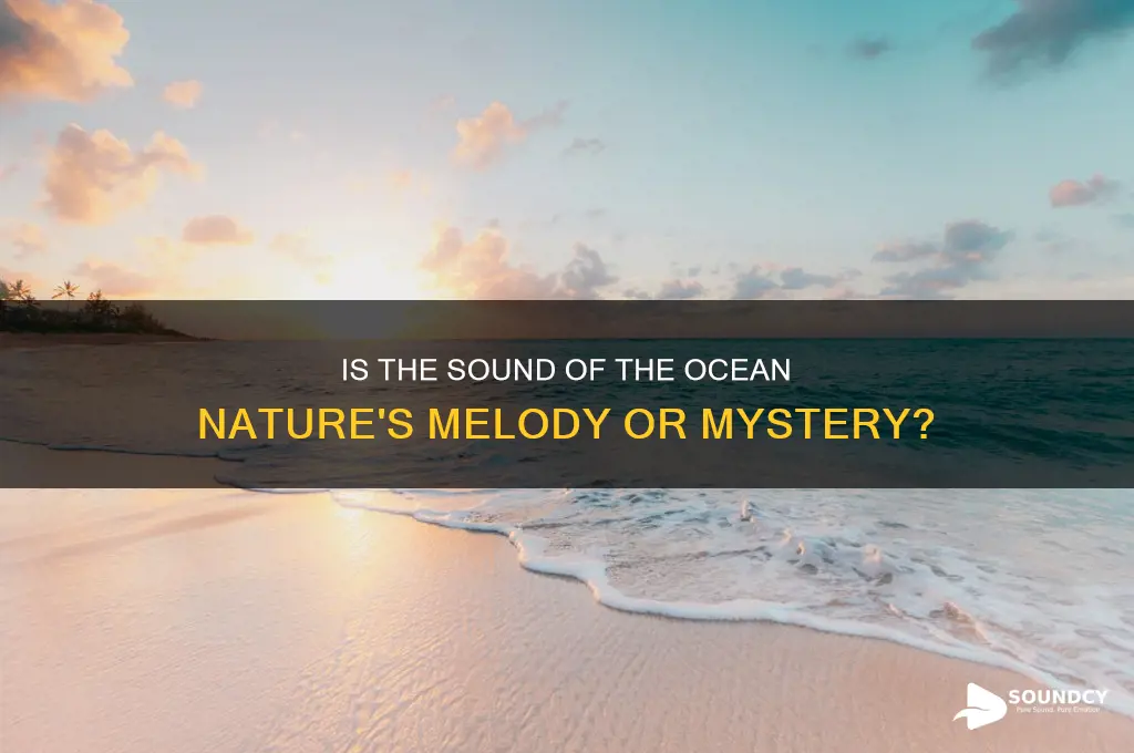 is the sound the ocean