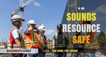Is Sounds Resource Safe? A Comprehensive Security and Privacy Review