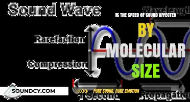 Exploring the Impact of Molecular Size on Sound Speed
