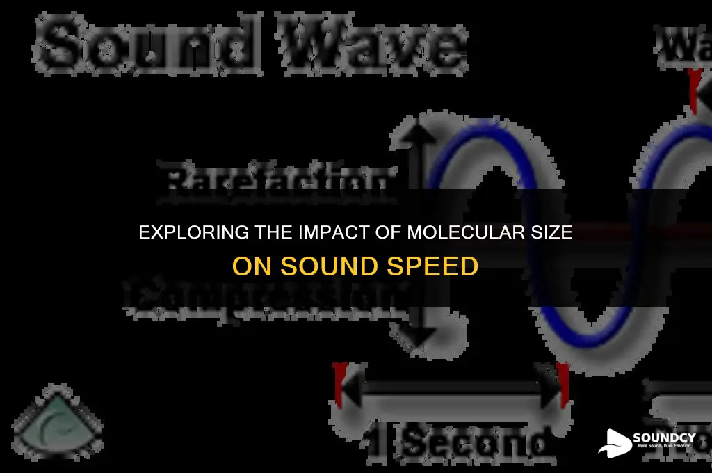 is the speed of sound affected by molecular size