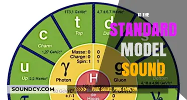 Is the Standard Model Sound? Examining Physics' Core Framework