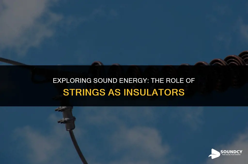is the string the insulator in sound energy experiment