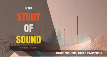 Exploring the Science and Art of Sound: A Comprehensive Study