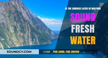 Exploring Milford Sound: Is Its Surface Layer Fresh Water?