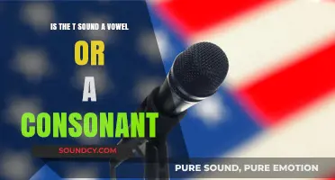 Decoding Phonetics: The Great Debate Over the 'T' Sound