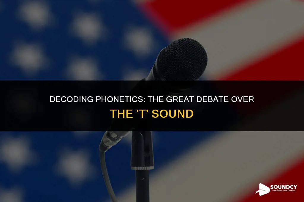 is the t sound a vowel or a consonant