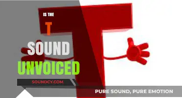Is the T Sound Unvoiced? Exploring Phonetics and Articulation