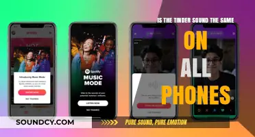 Exploring the Universality of Tinder's Iconic Swipe Sound Across Devices