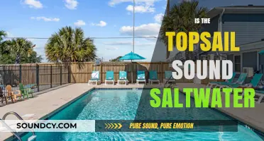 Is Topsail Sound Saltwater? Exploring Its Unique Marine Characteristics