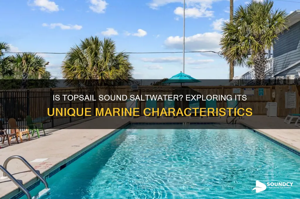 is the topsail sound saltwater
