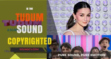 Is Netflix's Tudum Sound Copyrighted? Legal Insights and Implications