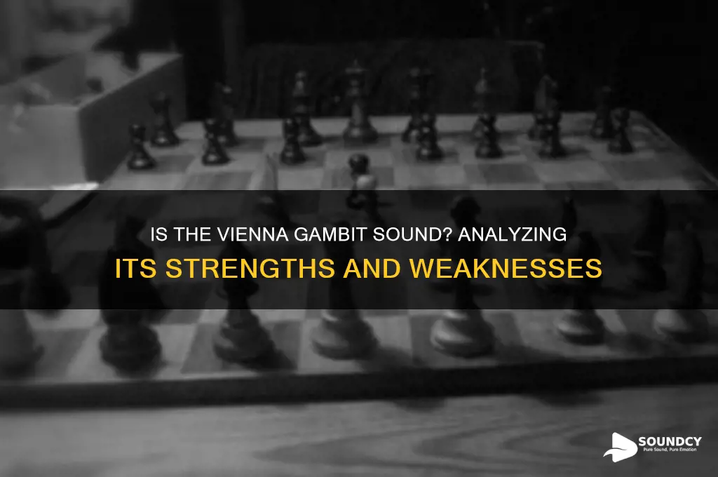 is the vienna gambit sound