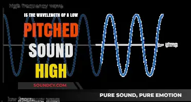 Exploring Sound Waves: Low Pitch and High Wavelength Connection