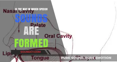 Exploring Phonetics: The Art and Science of Speech Sound Formation