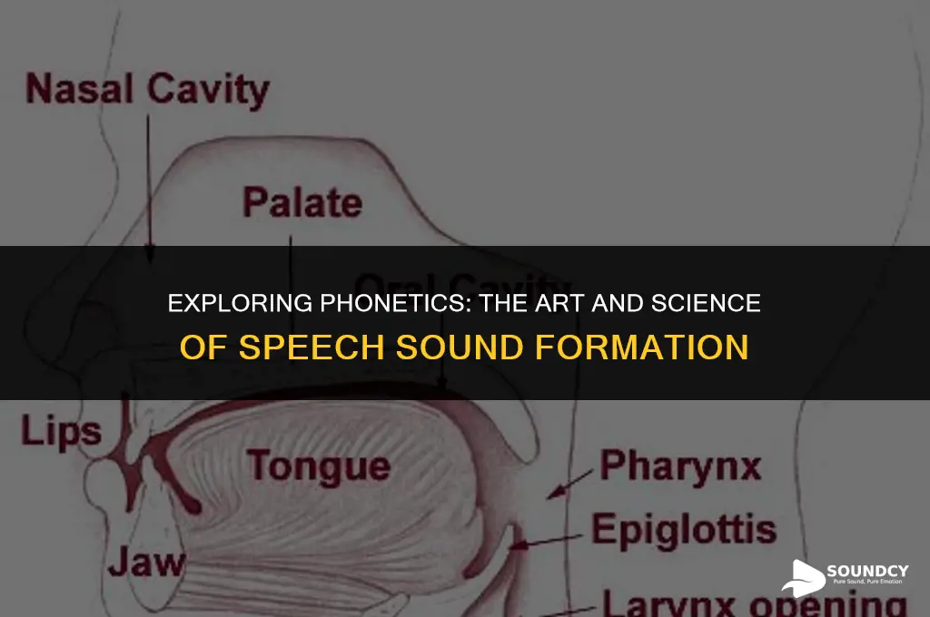 is the way in which speech sounds are formed