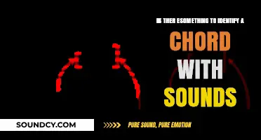 Exploring Sonic Signatures: Can We Identify Chords by Sound Alone?
