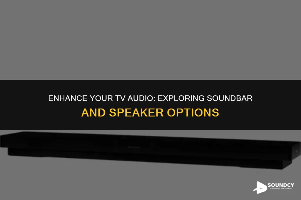 is ther something to hook to tv for sound
