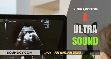 Exploring the Possibilities: Can You Really Fake an Ultrasound with an App?