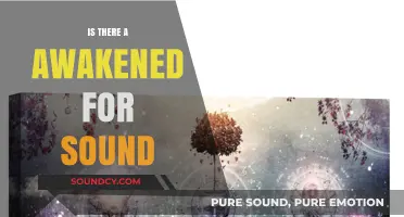 The Sound of Awakening: A Journey to Sonic Enlightenment