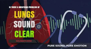 Breathing Easy: Understanding Clear Lung Sounds and Respiratory Health