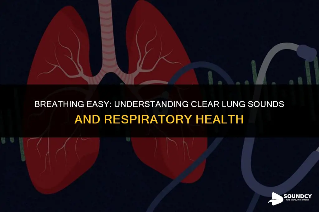 is there a breathing problem of lungs sound clear