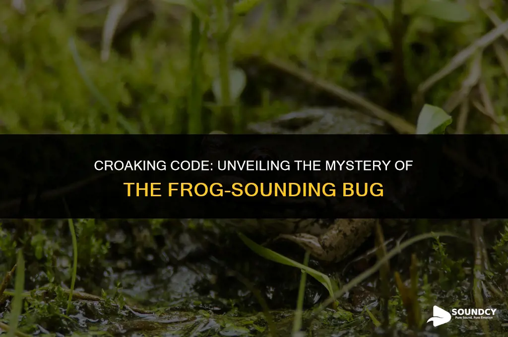 is there a bug that sounds like a frog