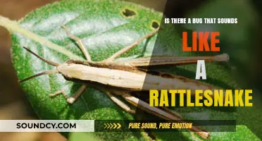 Nature's Deceptive Hiss: Unveiling the Bug That Mimics a Rattlesnake