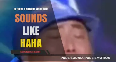 Exploring the Sounds of Laughter: Does Chinese Have a 'Haha' Equivalent?