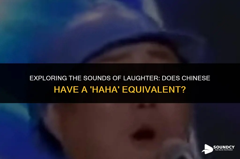 is there a chinese word that sounds like haha