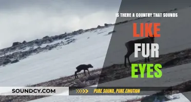 Exploring Phonetics: Countries That Sound Like Furry Eyes