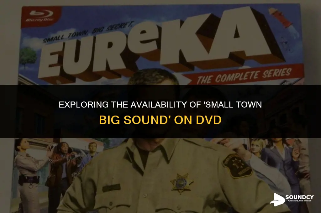 is there a dvd of small town big sound