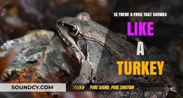 Croaking or Clucking? The Surprising Sounds of Amphibians