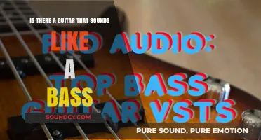 Exploring the Sonic Possibilities: Can a Guitar Emulate a Bass?