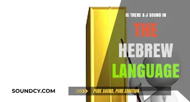 Exploring Phonetics: The Presence of the 'J' Sound in Hebrew