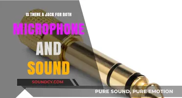 Exploring Audio Connectivity: One Jack for Microphone and Sound?