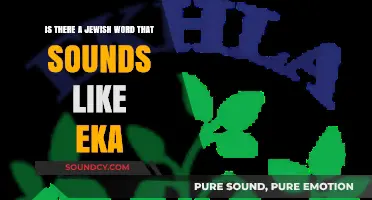 Exploring Linguistic Curiosities: The Jewish Word Sounding Like "Eka