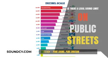 Decoding Decibel Limits: Understanding Noise Regulations on Public Streets