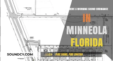 Exploring Minneola, Florida: Morning Sound Ordinance Insights