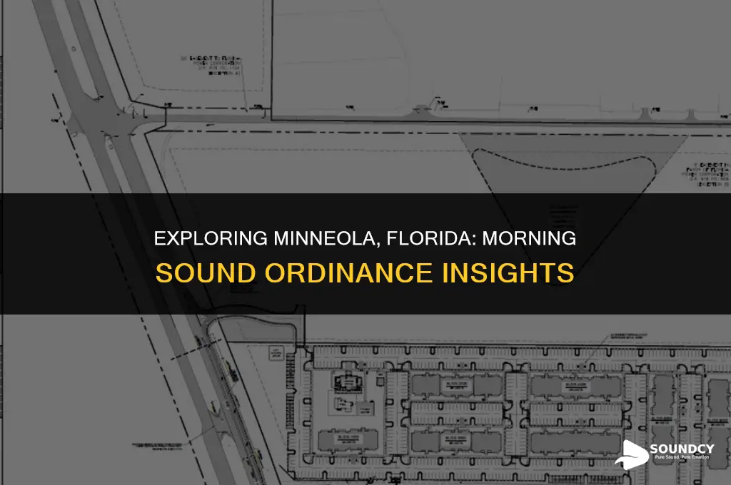 is there a morning sound ordinance in minneola florida