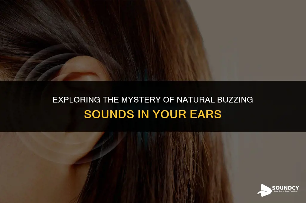 is there a natural buzzing sound in my ear