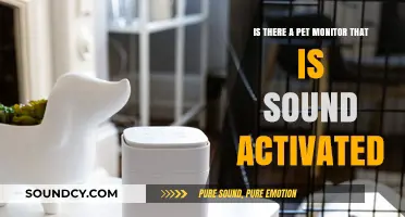 Sound-Activated Pet Monitors: Do They Exist and How Do They Work?
