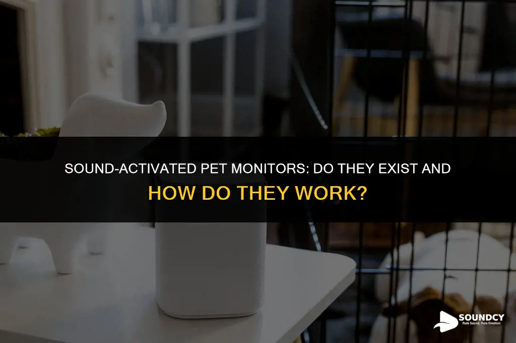is there a pet monitor that is sound activated
